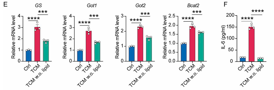 Cleanascite™ Enables Breakthrough Cancer Study by Targeting Lipid-Driven Fibroblast Reprogramming